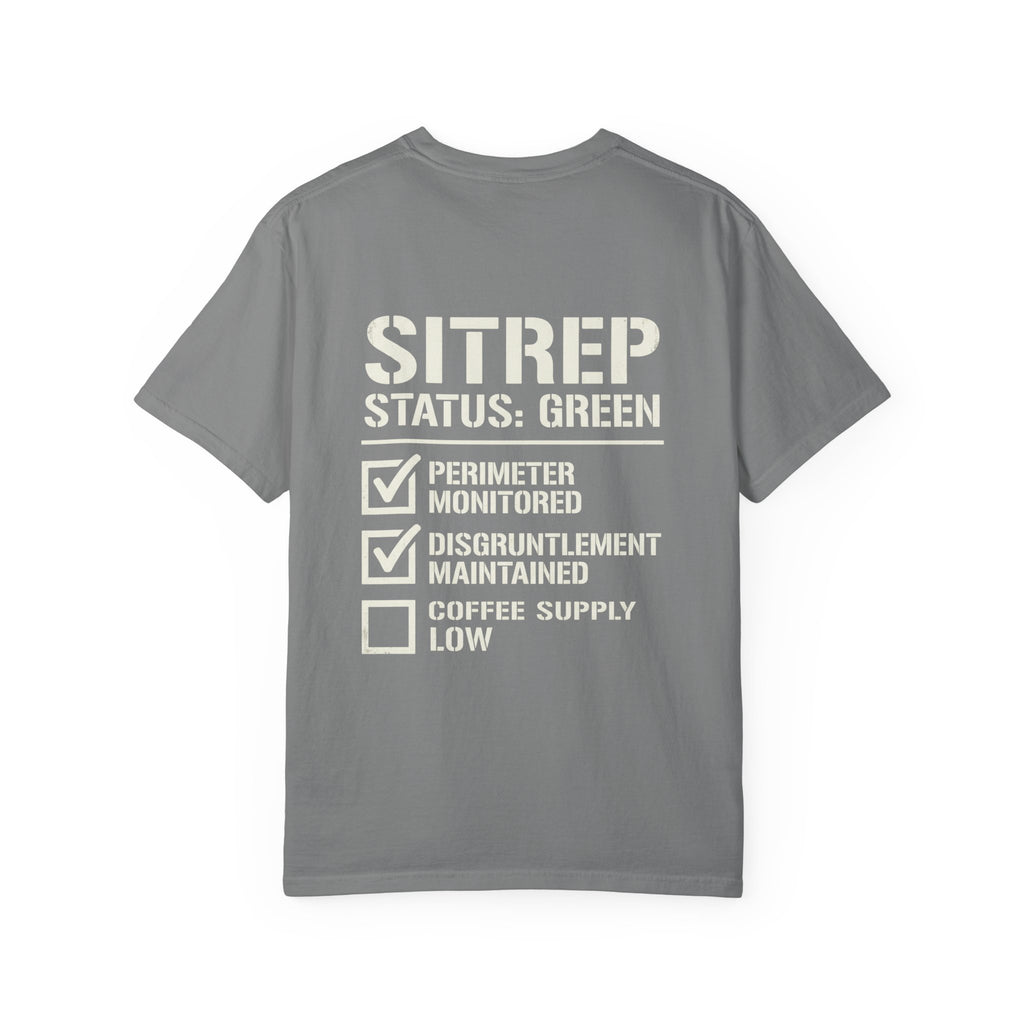 SITREP: STATUS GREEN — STANDARD ISSUE HEAVYWEIGHT TEE