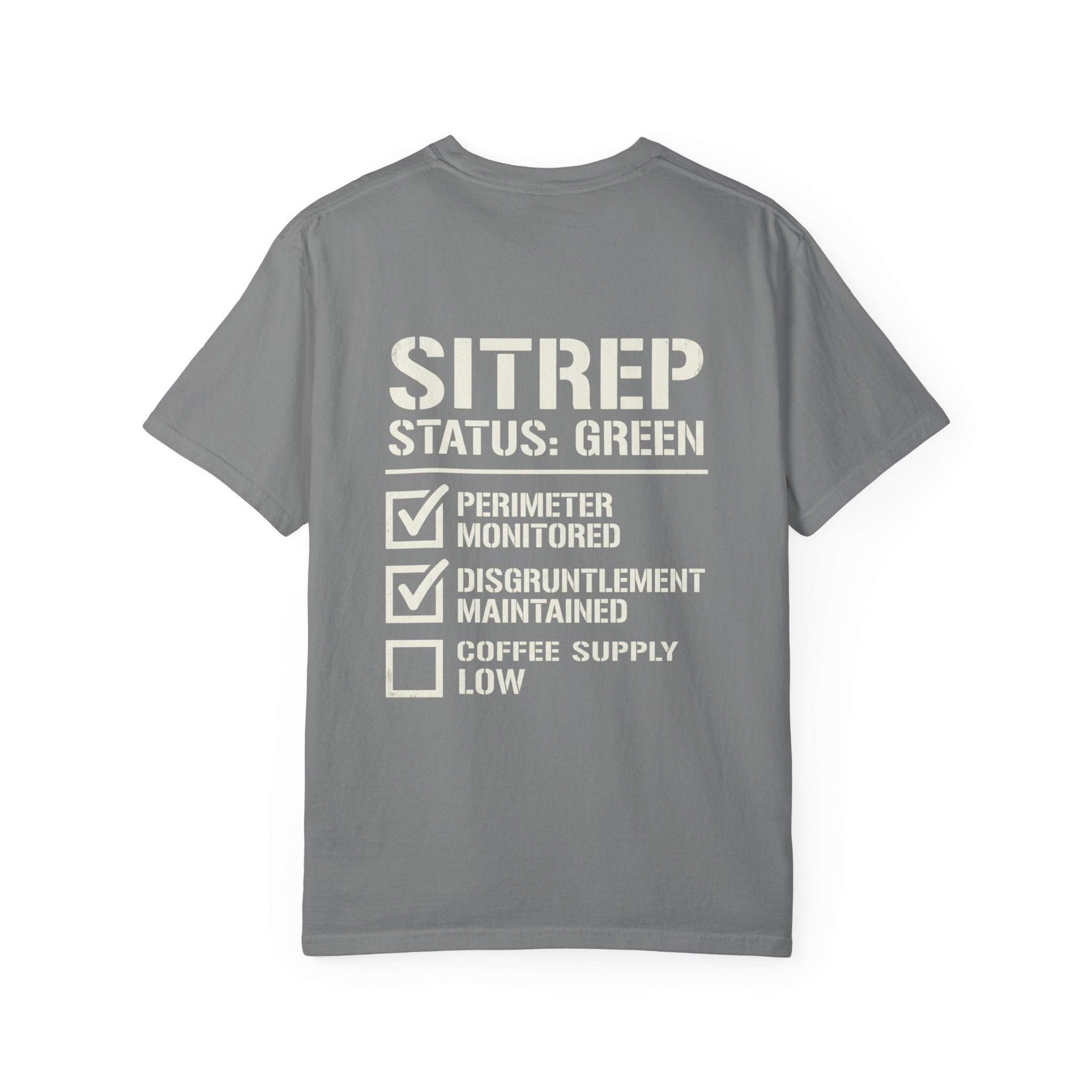SITREP: STATUS GREEN — STANDARD ISSUE HEAVYWEIGHT TEE