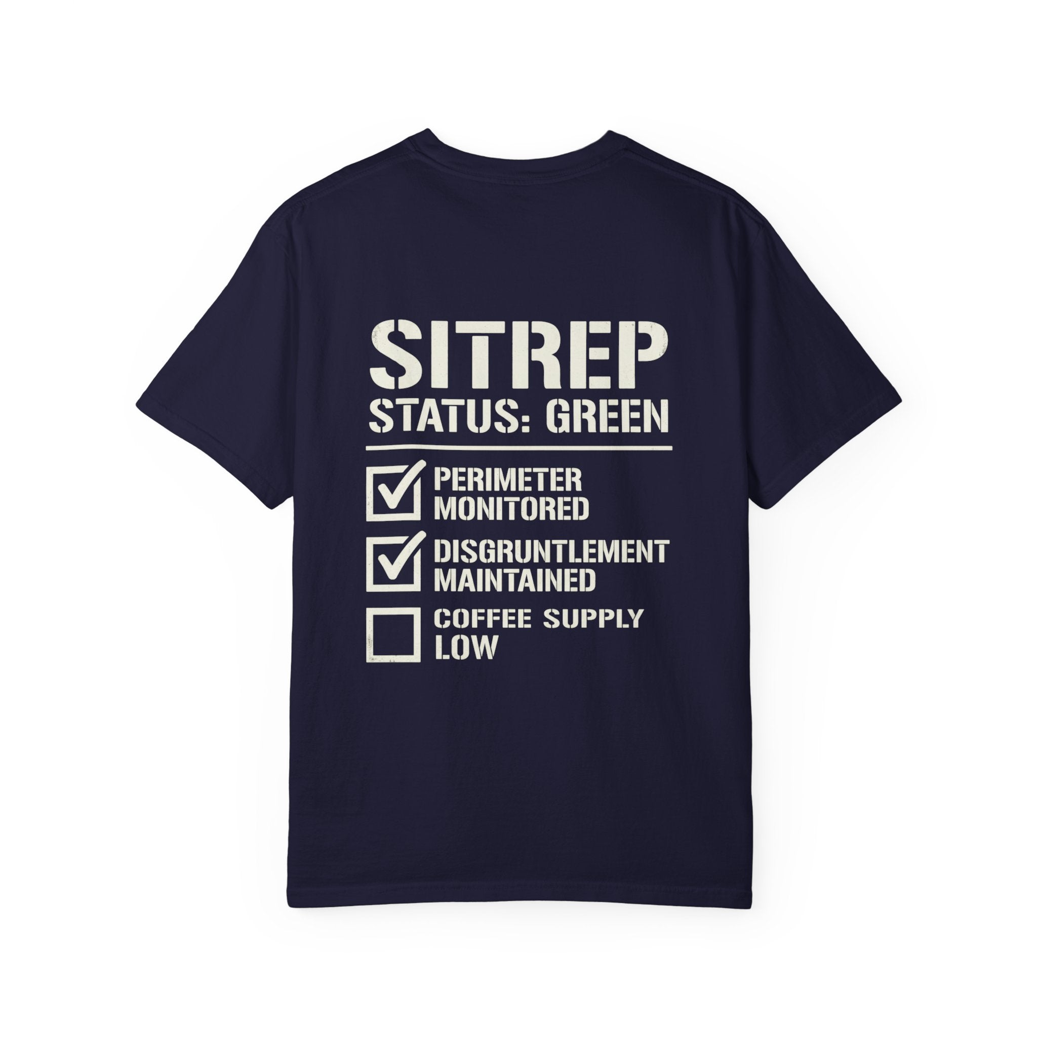 SITREP: STATUS GREEN — STANDARD ISSUE HEAVYWEIGHT TEE