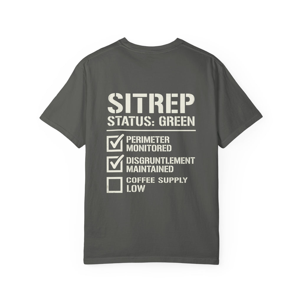 SITREP: STATUS GREEN — STANDARD ISSUE HEAVYWEIGHT TEE