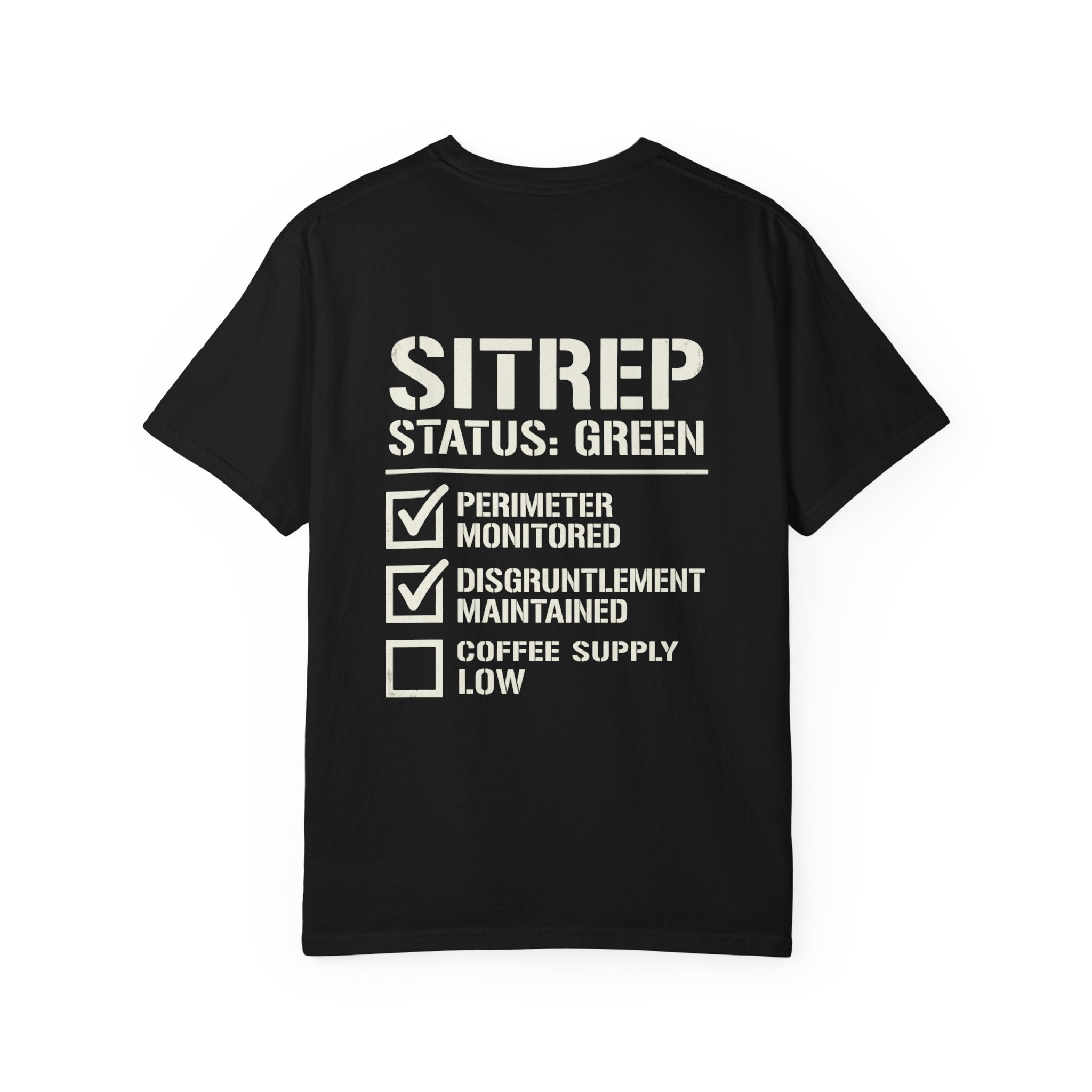 SITREP: STATUS GREEN — STANDARD ISSUE HEAVYWEIGHT TEE