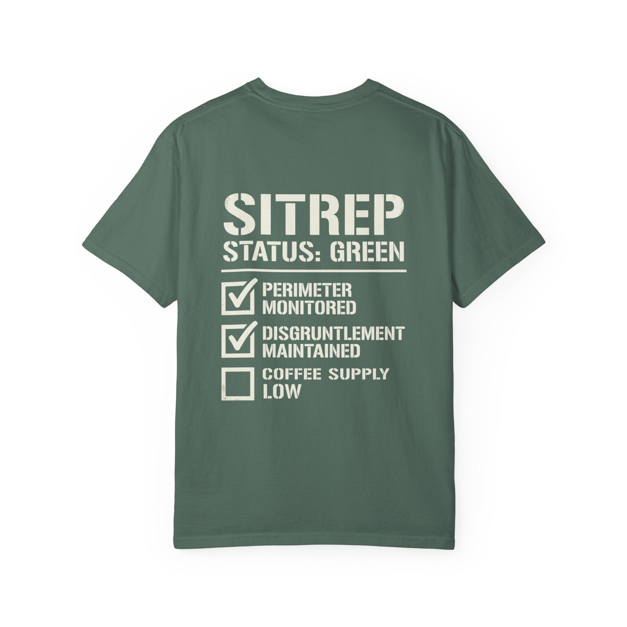 SITREP: STATUS GREEN — STANDARD ISSUE HEAVYWEIGHT TEE